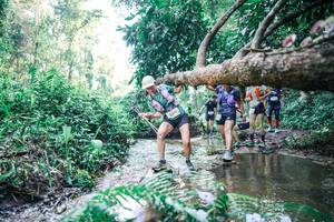 BIB: 
                            <button type="button" onclick="openModal(25445509)" class="btn btn-primary btn-sm float-right btn-popup" data-toggle="modal" data-target=".modal-high-quality">
                        <i class="fas fa-shopping-cart"></i> Add to Cart
                    </button>
                                            <button type="button" onclick="isThisMe(25445509, true)" class="btn btn-success btn-sm float-right btn-popup btn-isme hidden" data-toggle="tooltip" data-placement="bottom" title="นี่คือรูปของคุณใช่ไหม คลิกที่นี่เพื่อเอาเข้าอัลบั้ม">
                        <i class="fas fa-plus"></i> Add to album
                    </button>
                    <button type="button" onclick="isThisMe(25445509, false)" class="btn btn-warning btn-sm float-right btn-popup btn-isnotme hidden">
                        <i class="fas fa-ban"></i> Remove from album
                    </button>